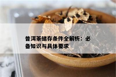 普洱茶储存条件全解析：必备知识与具体要求