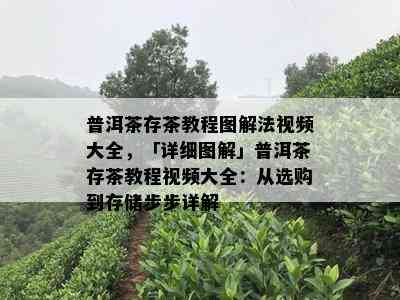 普洱茶存茶教程图解法视频大全，「详细图解」普洱茶存茶教程视频大全：从选购到存储步步详解