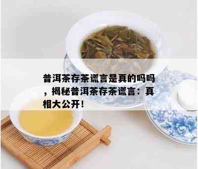 普洱茶存茶谎言是真的吗吗，揭秘普洱茶存茶谎言：真相大公开！