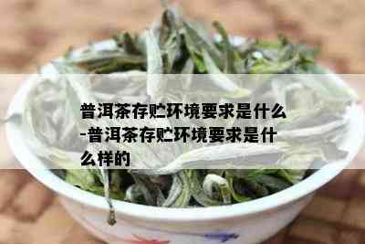 普洱茶存贮环境要求是什么-普洱茶存贮环境要求是什么样的