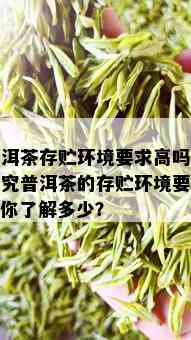 普洱茶存贮环境要求高吗，探究普洱茶的存贮环境要求：你了解多少？