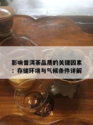 影响普洱茶品质的关键因素：存储环境与气候条件详解