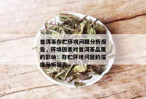 普洱茶存贮环境问题分析报告，环境因素对普洱茶品质的影响：存贮环境问题的深度分析报告