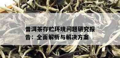 普洱茶存贮环境问题研究报告：全面解析与解决方案