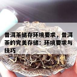 普洱茶储存环境要求，普洱茶的完美存储：环境要求与技巧