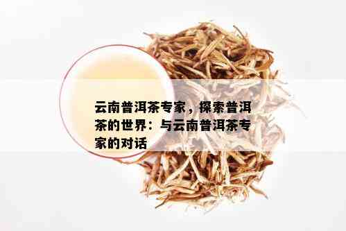 云南普洱茶专家，探索普洱茶的世界：与云南普洱茶专家的对话