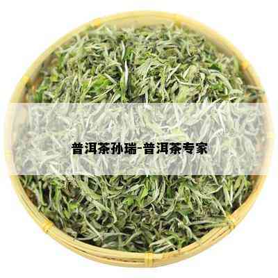 普洱茶孙瑞-普洱茶专家