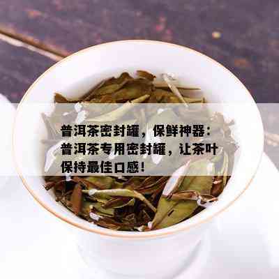 普洱茶密封罐，保鲜神器：普洱茶专用密封罐，让茶叶保持更佳口感！