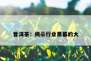 普洱茶：揭示行业黑幕的大