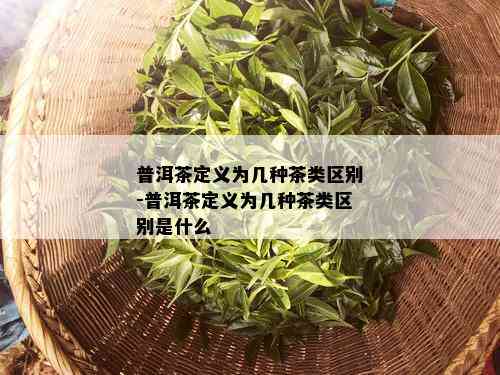 普洱茶定义为几种茶类区别-普洱茶定义为几种茶类区别是什么