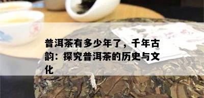 普洱茶有多少年了，千年古韵：探究普洱茶的历史与文化