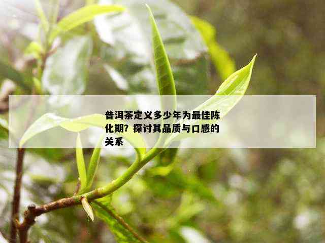 普洱茶定义多少年为更佳陈化期？探讨其品质与口感的关系