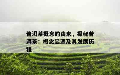 普洱茶概念的由来，探秘普洱茶：概念起源及其发展历程