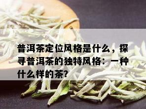 普洱茶定位风格是什么，探寻普洱茶的独特风格：一种什么样的茶？