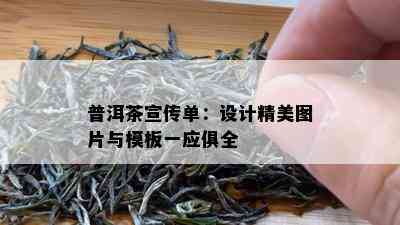 普洱茶宣传单：设计精美图片与模板一应俱全