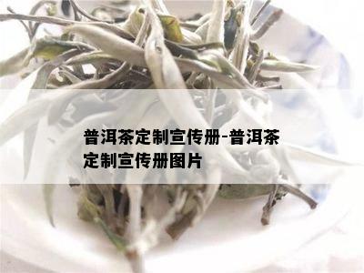 普洱茶定制宣传册-普洱茶定制宣传册图片