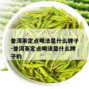 普洱茶定点喝法是什么牌子-普洱茶定点喝法是什么牌子的