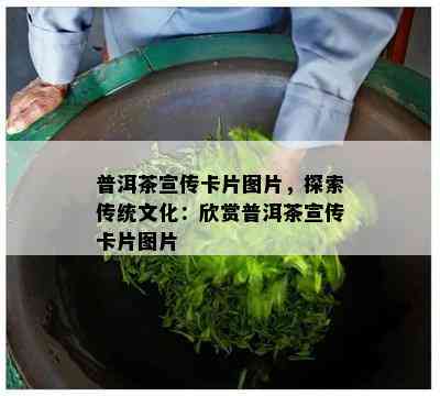 普洱茶宣传卡片图片，探索传统文化：欣赏普洱茶宣传卡片图片