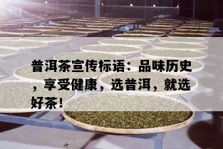 普洱茶宣传标语：品味历史，享受健康，选普洱，就选好茶！