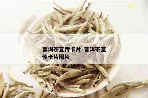 普洱茶宣传卡片-普洱茶宣传卡片图片