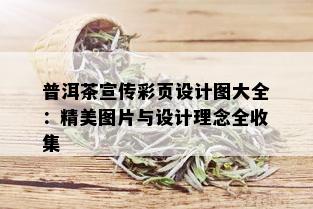 普洱茶宣传彩页设计图大全：精美图片与设计理念全收集