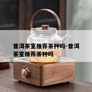 普洱茶室推荐茶种吗-普洱茶室推荐茶种吗