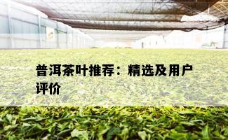 普洱茶叶推荐：精选及用户评价