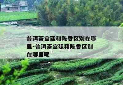 普洱茶宫廷和陈香区别在哪里-普洱茶宫廷和陈香区别在哪里呢