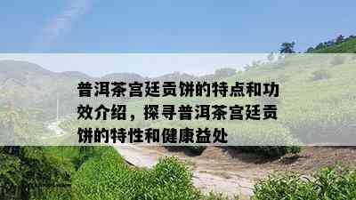 普洱茶宫廷贡饼的特点和功效介绍，探寻普洱茶宫廷贡饼的特性和健康益处