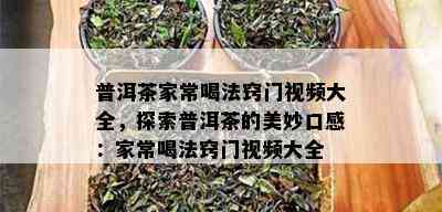 普洱茶家常喝法窍门视频大全，探索普洱茶的美妙口感：家常喝法窍门视频大全