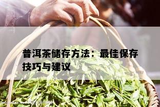 普洱茶储存方法：更佳保存技巧与建议