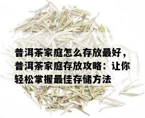 普洱茶家庭怎么存放更好，普洱茶家庭存放攻略：让你轻松掌握更佳存储方法