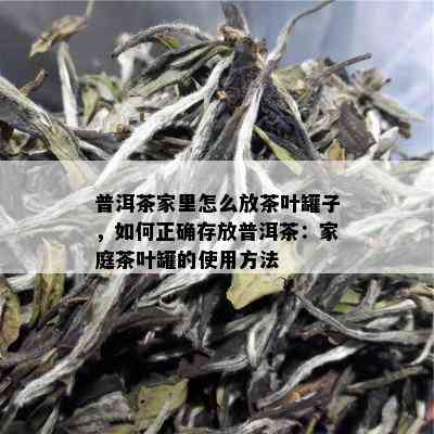 普洱茶家里怎么放茶叶罐子，如何正确存放普洱茶：家庭茶叶罐的使用方法