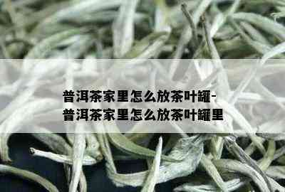 普洱茶家里怎么放茶叶罐-普洱茶家里怎么放茶叶罐里