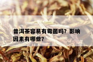 普洱茶容易有霉菌吗？影响因素有哪些？