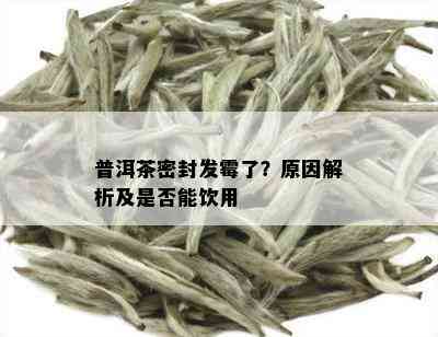 普洱茶密封发霉了？原因解析及是否能饮用