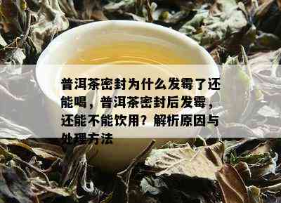 普洱茶密封为什么发霉了还能喝，普洱茶密封后发霉，还能不能饮用？解析原因与处理方法