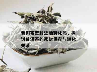 普洱茶密封还能转化吗，探讨普洱茶的密封保存与转化关系