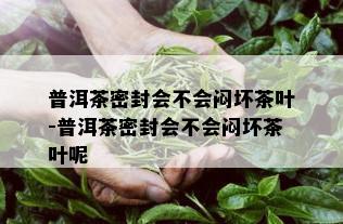 普洱茶密封会不会闷坏茶叶-普洱茶密封会不会闷坏茶叶呢