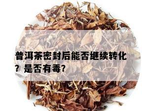 普洱茶密封后能否继续转化？是否有？