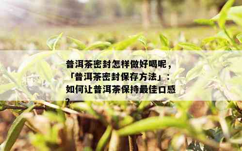 普洱茶密封怎样做好喝呢，「普洱茶密封保存方法」：如何让普洱茶保持更佳口感？