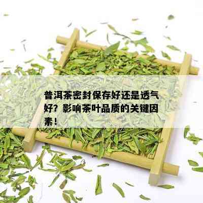 普洱茶密封保存好还是透气好？影响茶叶品质的关键因素！