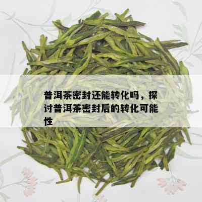 普洱茶密封还能转化吗，探讨普洱茶密封后的转化可能性