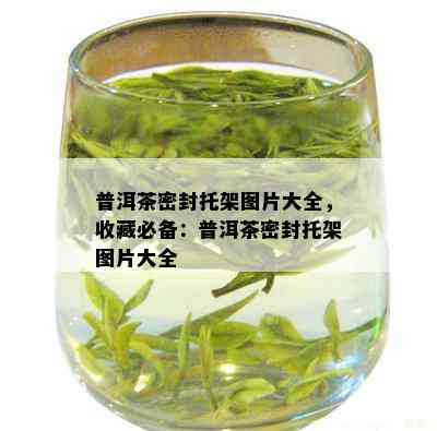 普洱茶密封托架图片大全，收藏必备：普洱茶密封托架图片大全