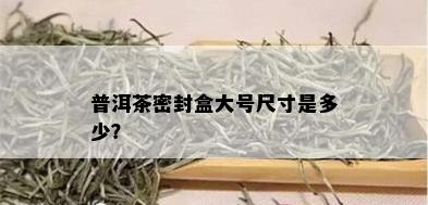 普洱茶密封盒大号尺寸是多少？