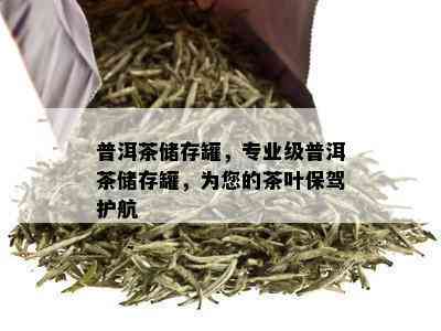 普洱茶储存罐，专业级普洱茶储存罐，为您的茶叶保驾护航