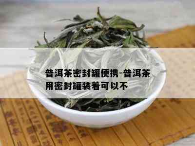 普洱茶密封罐便携-普洱茶用密封罐装着可以不