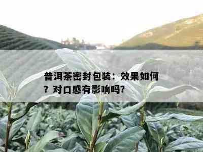 普洱茶密封包装：效果如何？对口感有影响吗？