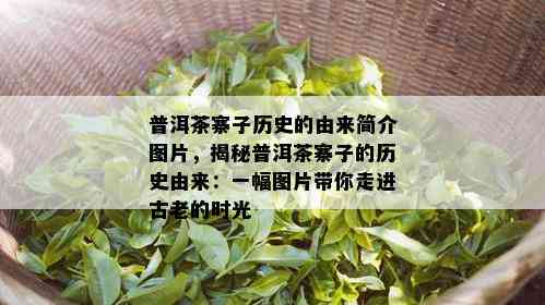 普洱茶寨子历史的由来简介图片，揭秘普洱茶寨子的历史由来：一幅图片带你走进古老的时光