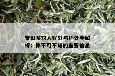 普洱茶对人好处与坏处全解析：你不可不知的重要信息